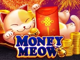 Money Meow thumbnail